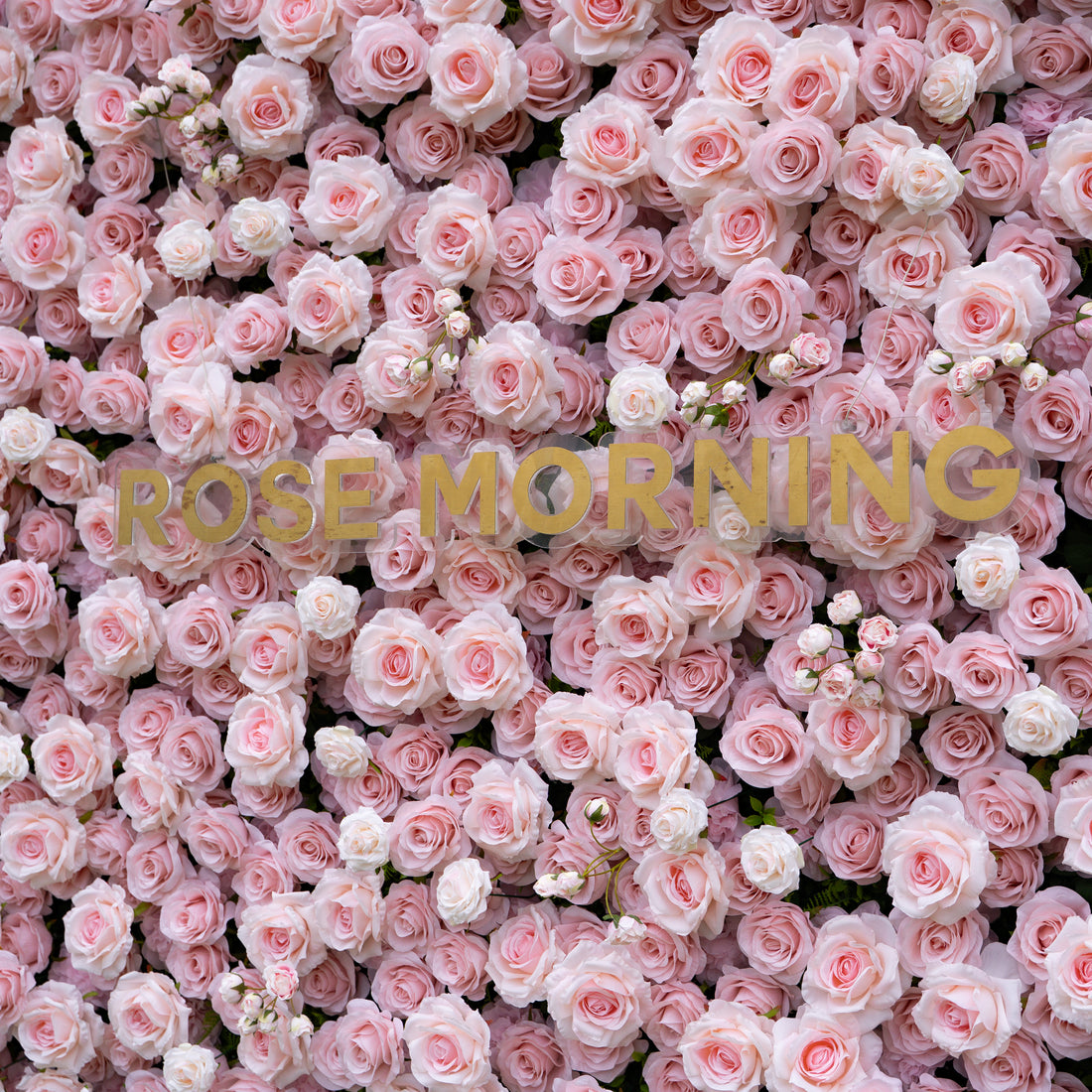 Querido Plus：3D Fabric Artificial rolling up curtain flower wall
