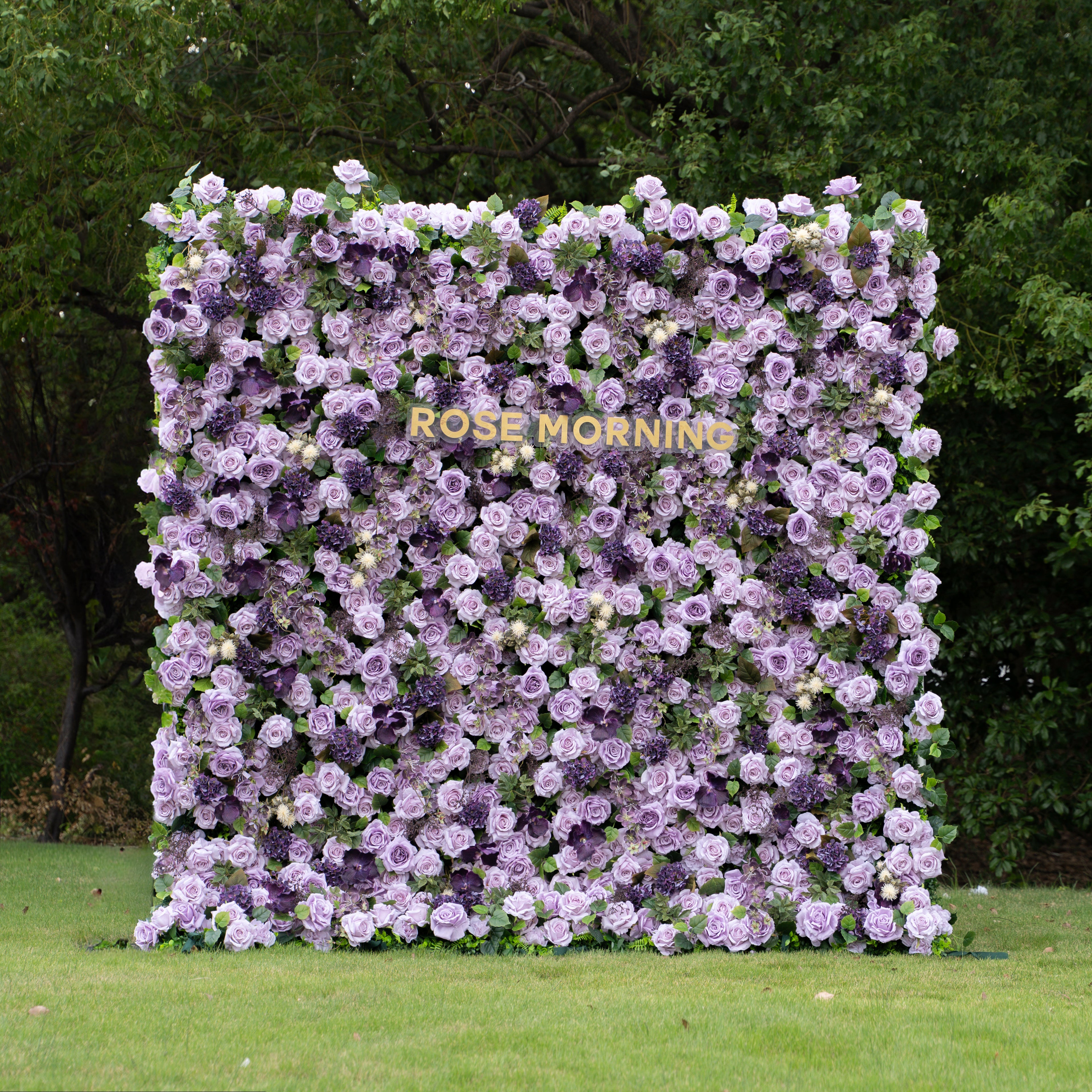 Raspberry：4D Fabric Artificial rolling up curtain flower wall (Ready to ship)