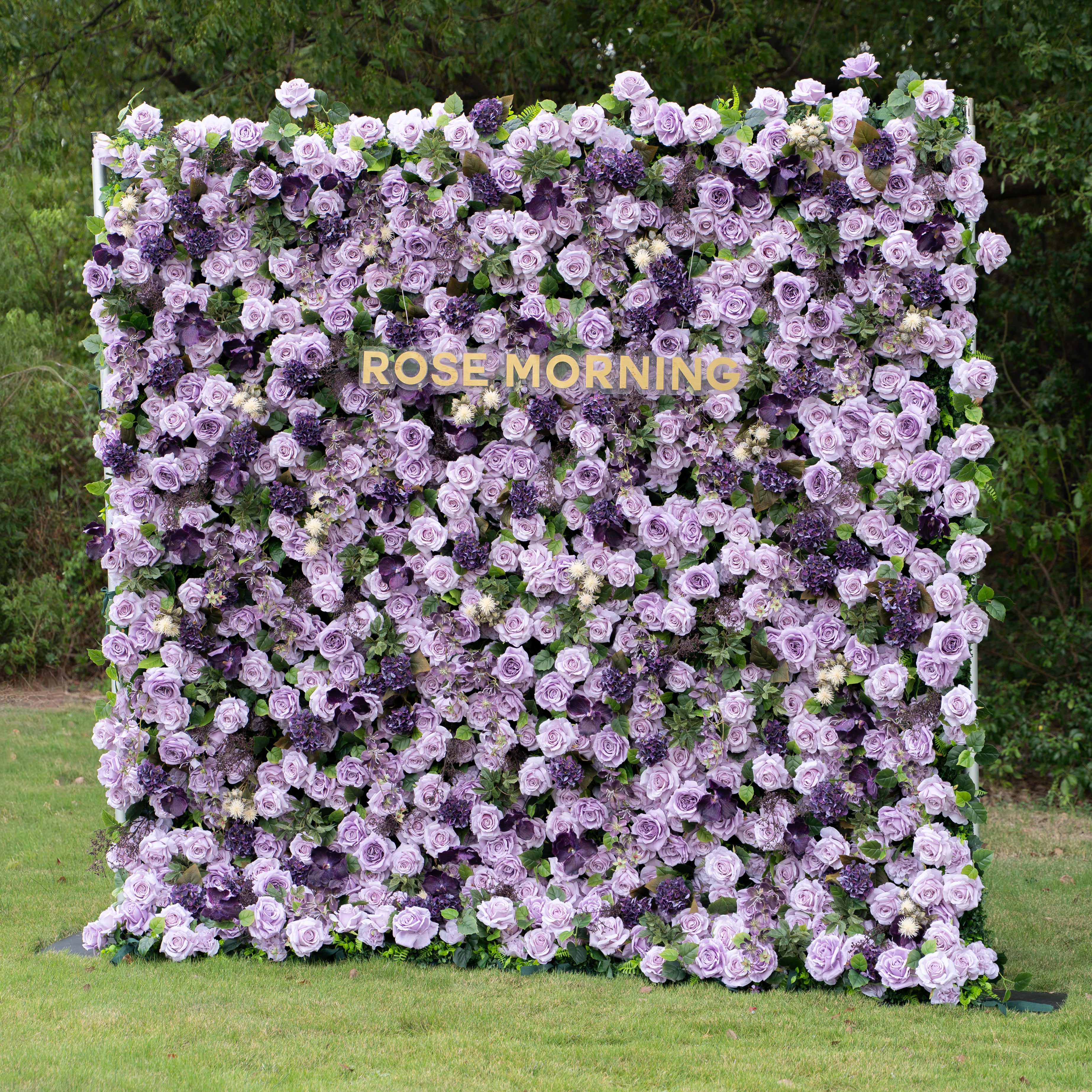 Raspberry：4D Fabric Artificial rolling up curtain flower wall (Ready to ship)