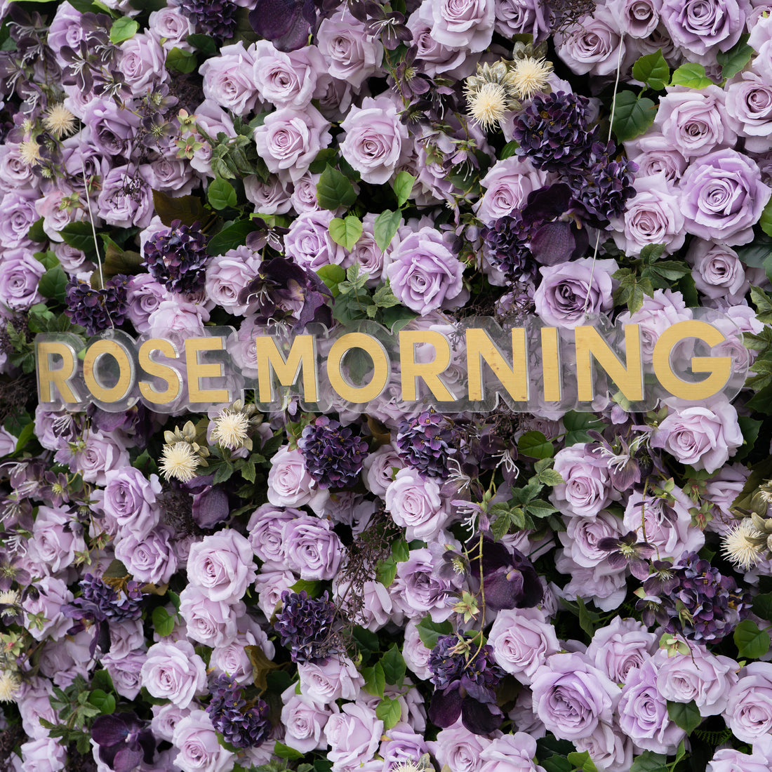 Raspberry：4D Fabric Artificial rolling up curtain flower wall (Ready to ship)