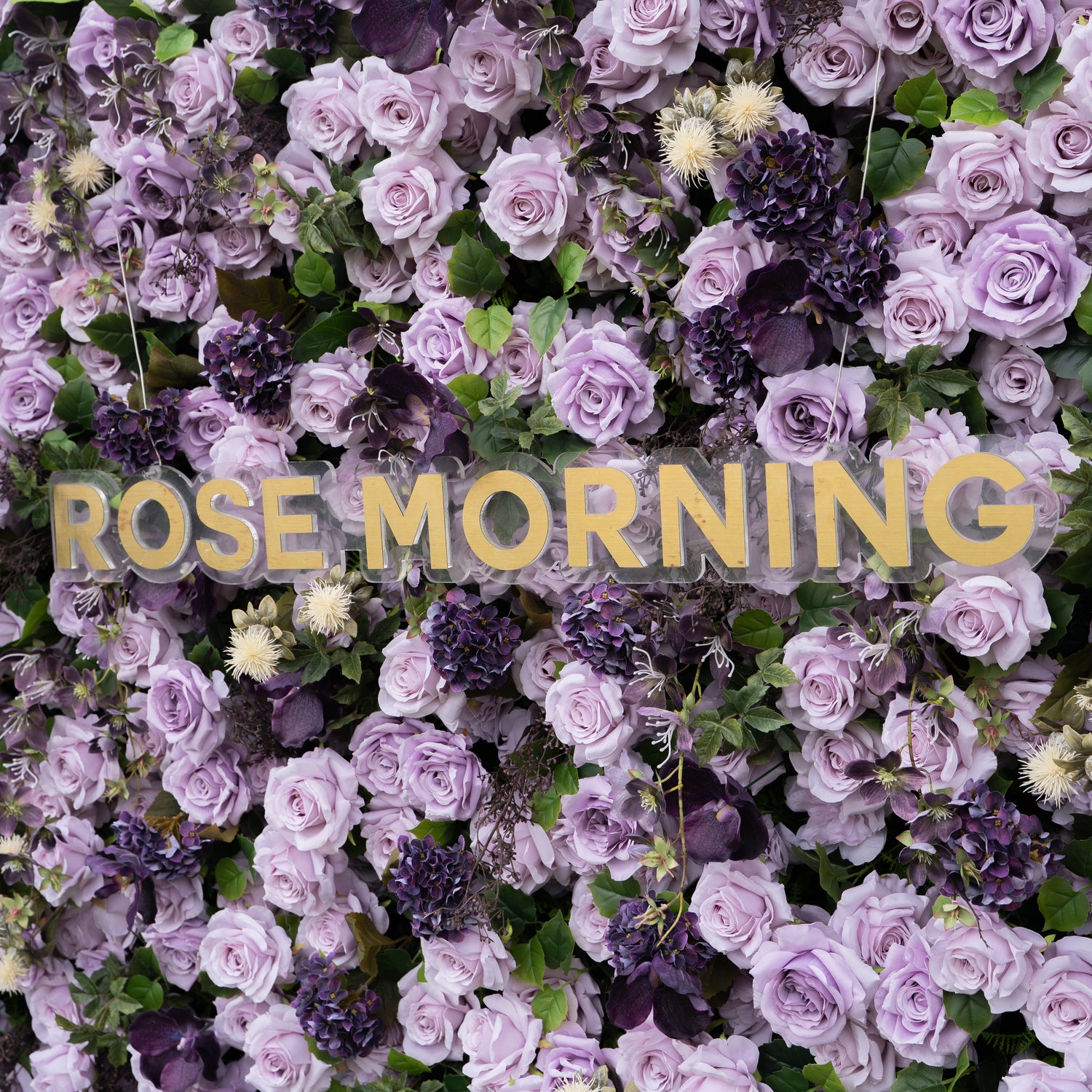 Raspberry：4D Fabric Artificial rolling up curtain flower wall (Ready to ship)