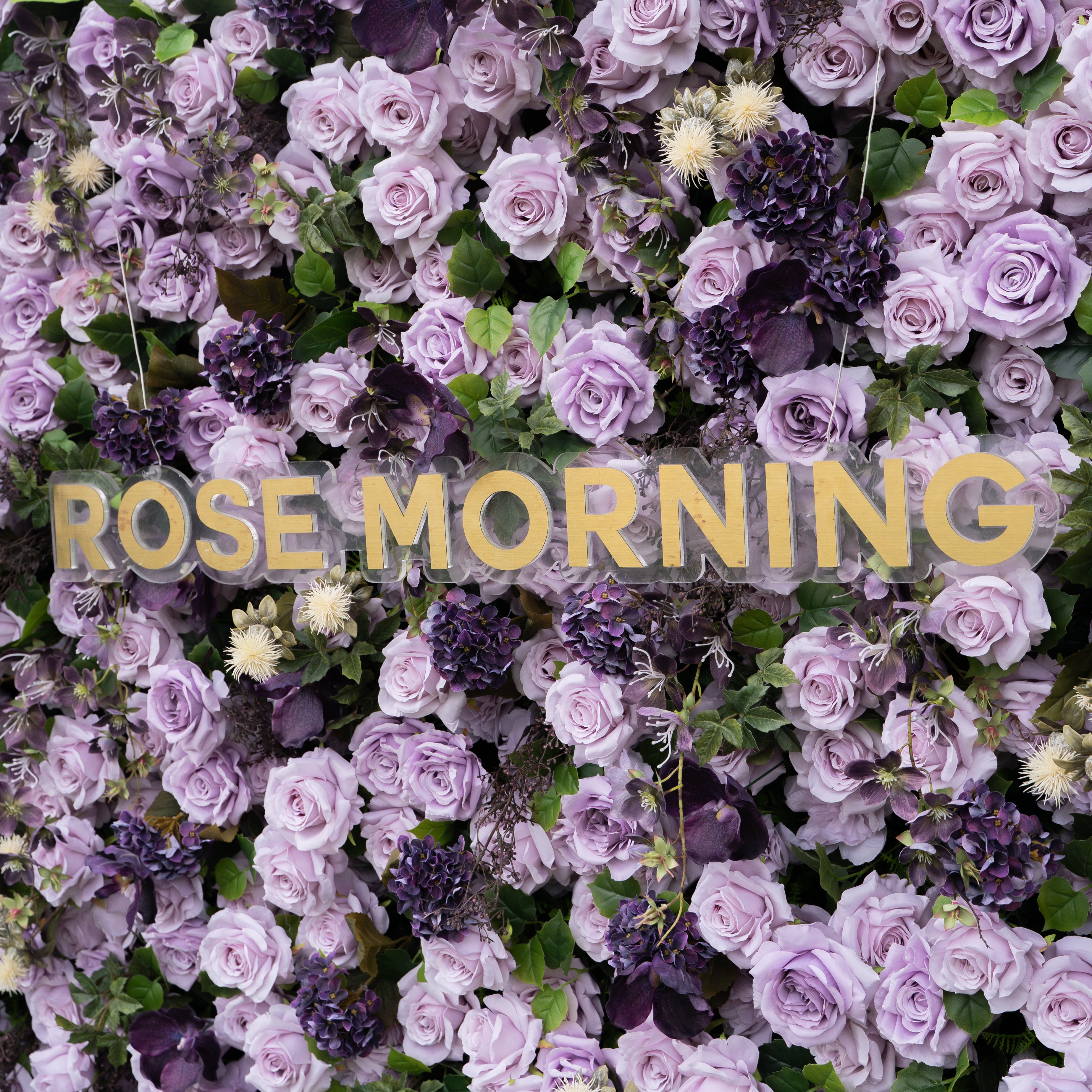 Raspberry：4D Fabric Artificial rolling up curtain flower wall (Ready to ship)