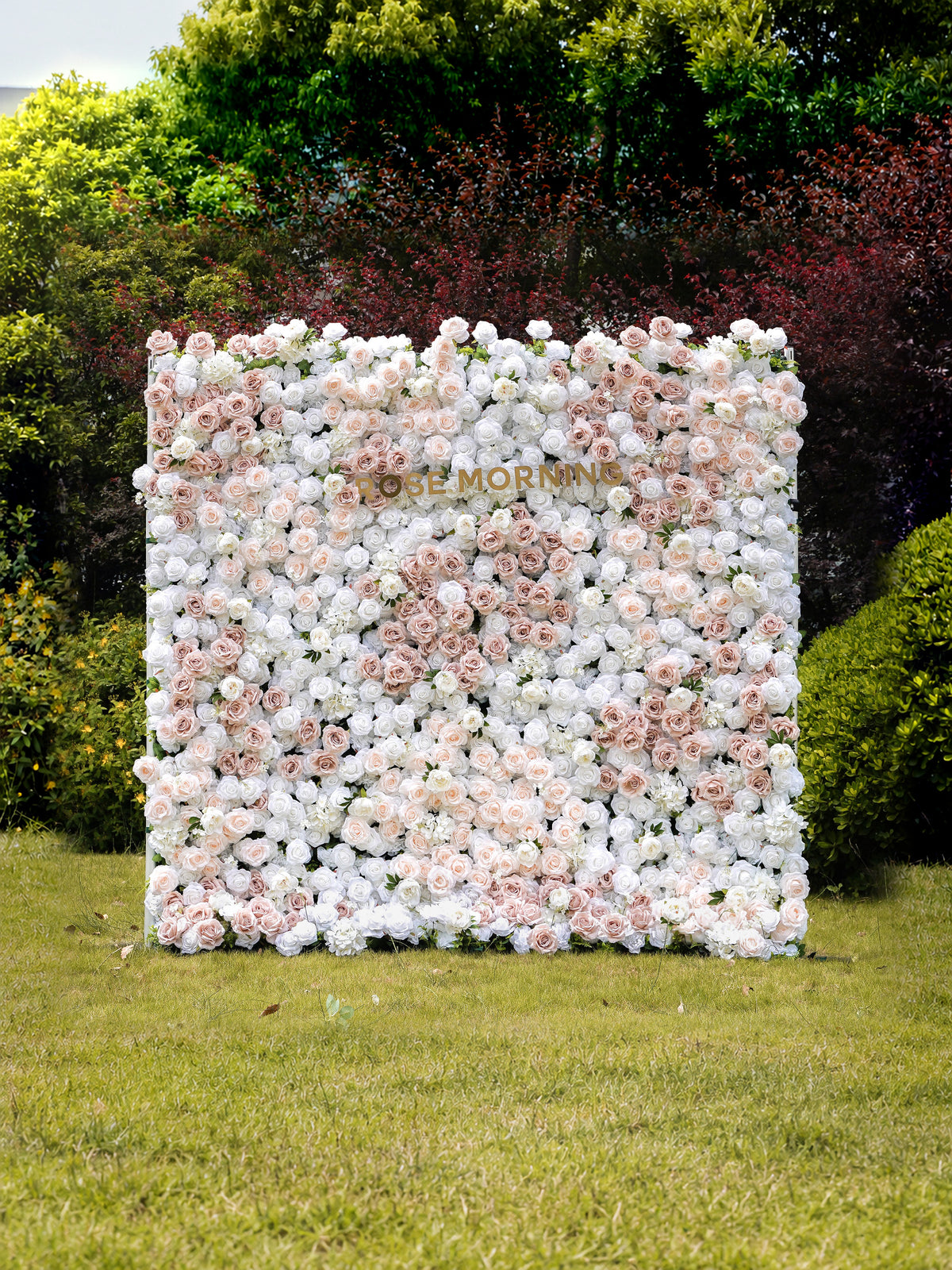Corrine：5D Fabric Artificial rolling up curtain flower wall Rose Morning