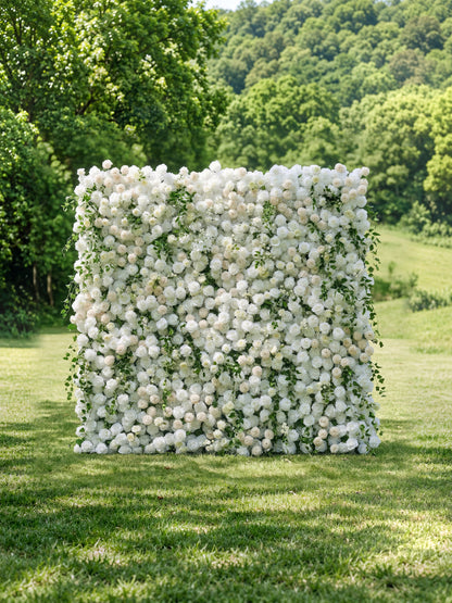 Lioraen: 5D Timeless Ivory and Light Champagne Flower Wall with Hanging Greenery Roll-Up Fabric Backdrop for Garden Party &amp; Event