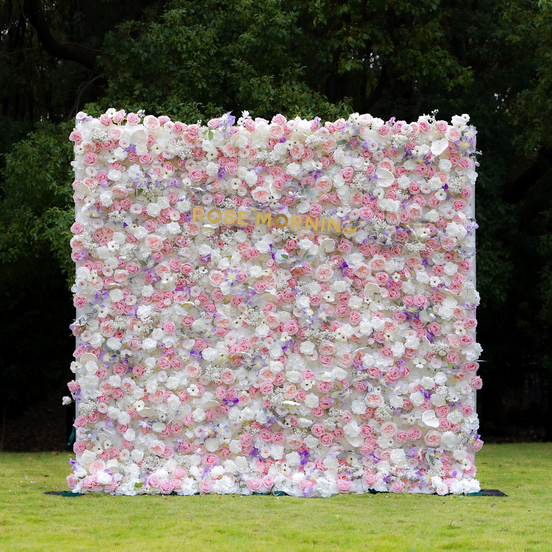 Rosalind 5D Fabric Artificial rolling up curtain flower wall Rose Morning