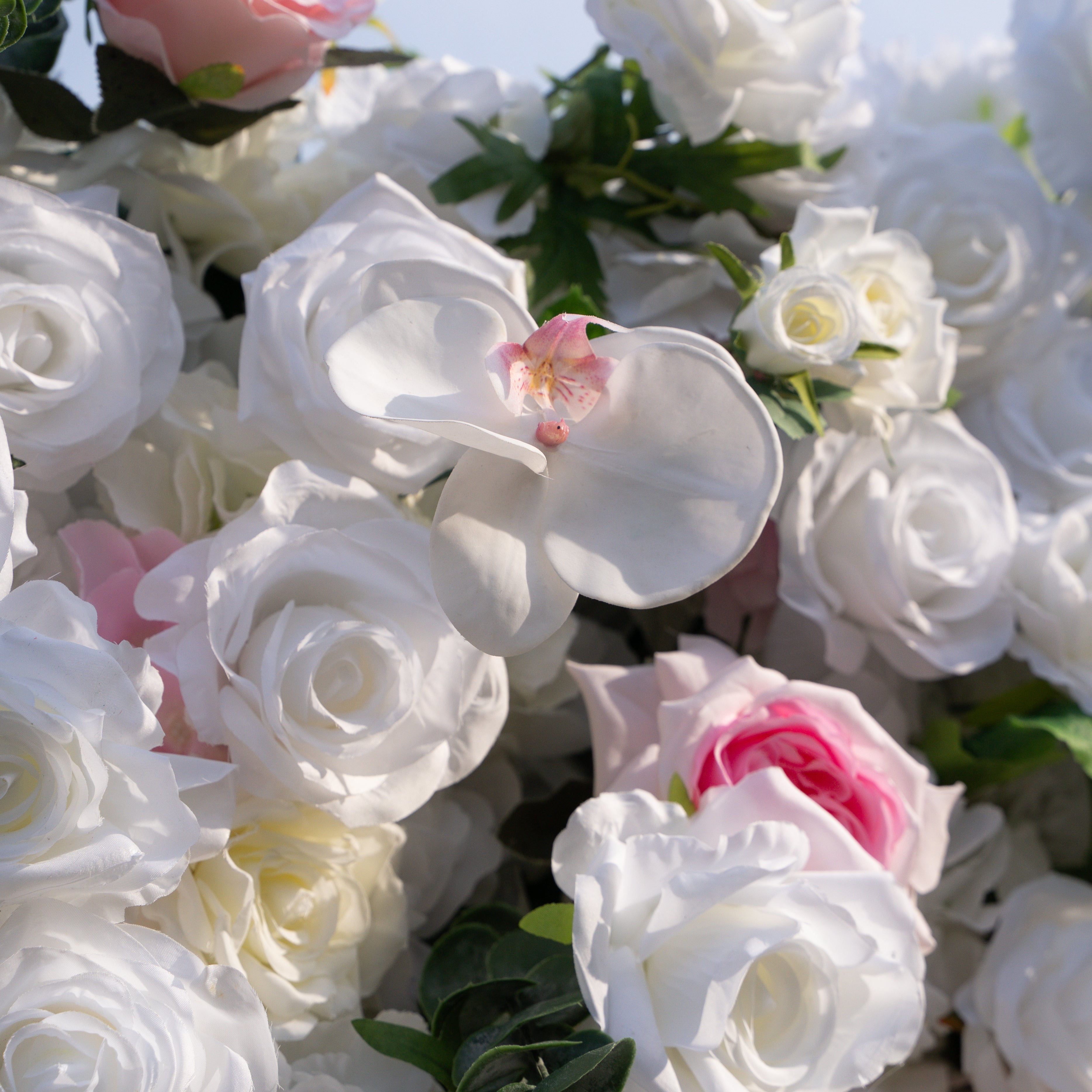 Rowan: 5D White Silk Rose and orchid with pink roses Flower Wall Roll-Up Fabric Backdrop for Elegant Weddings &amp; Events Decoration