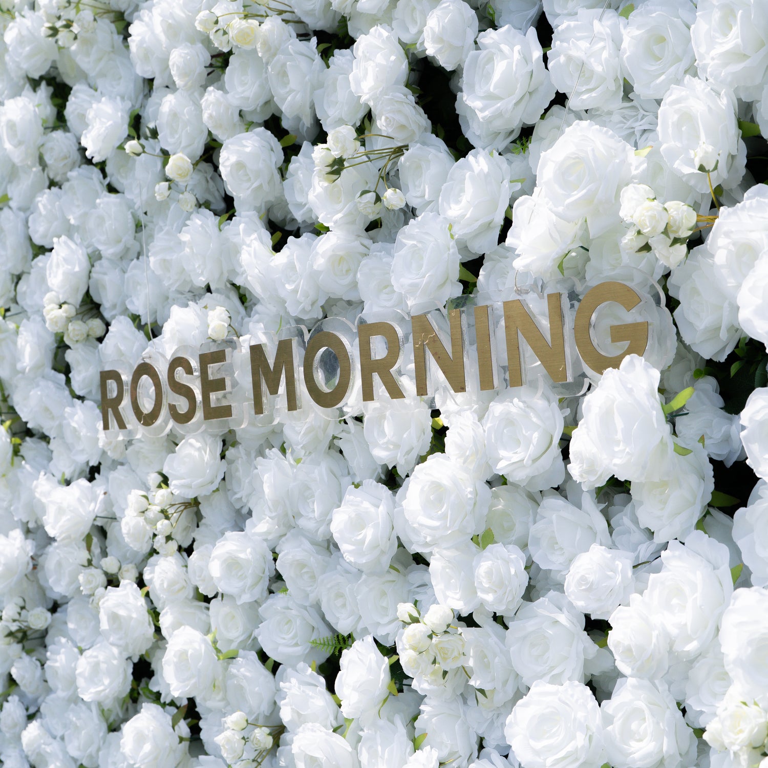 Shy 3D White Flower Wall - Minimalist Wedding Backdrop