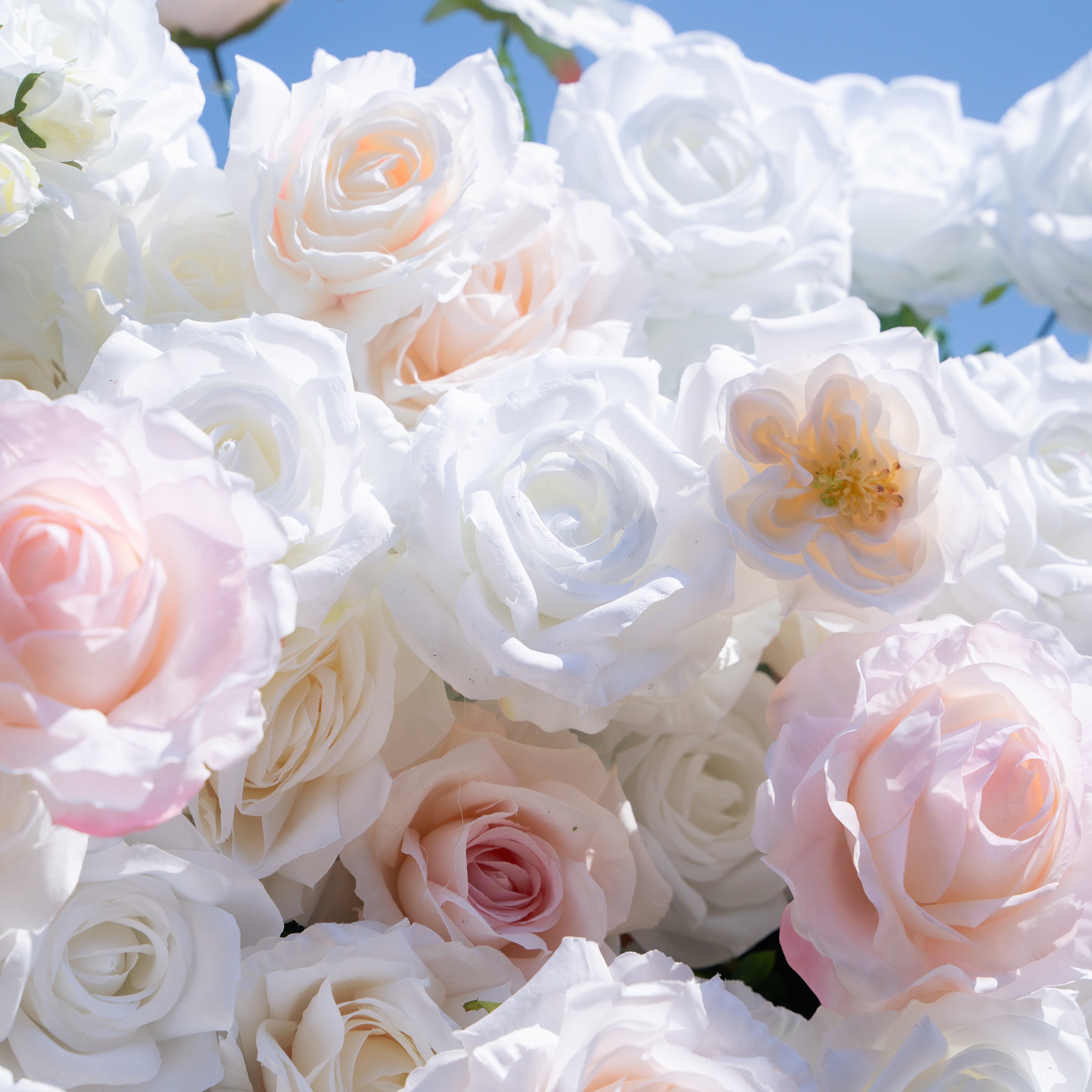 Tiara：5D Fabric Artificial rolling up curtain flower wall