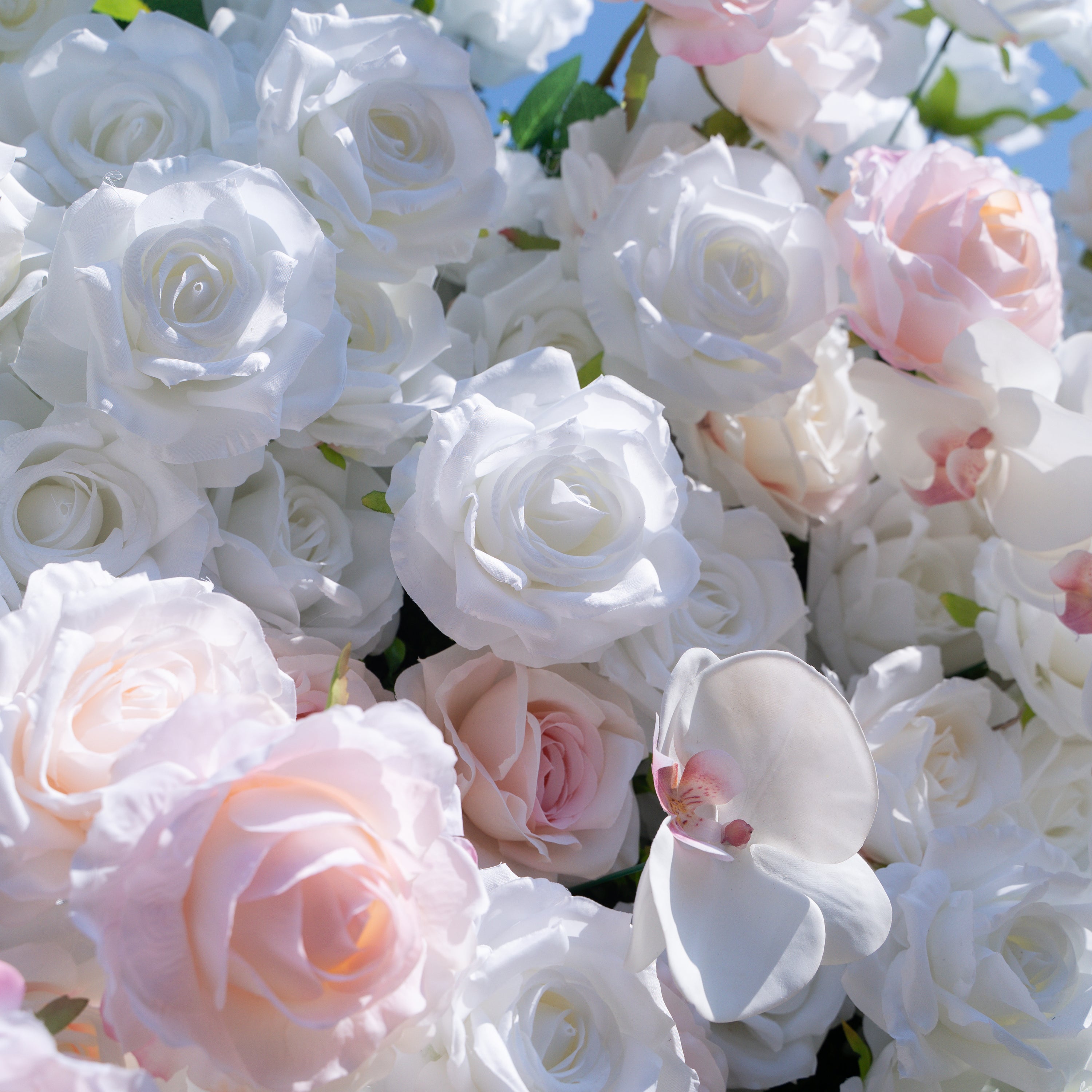 Tiara：5D Fabric Artificial rolling up curtain flower wall