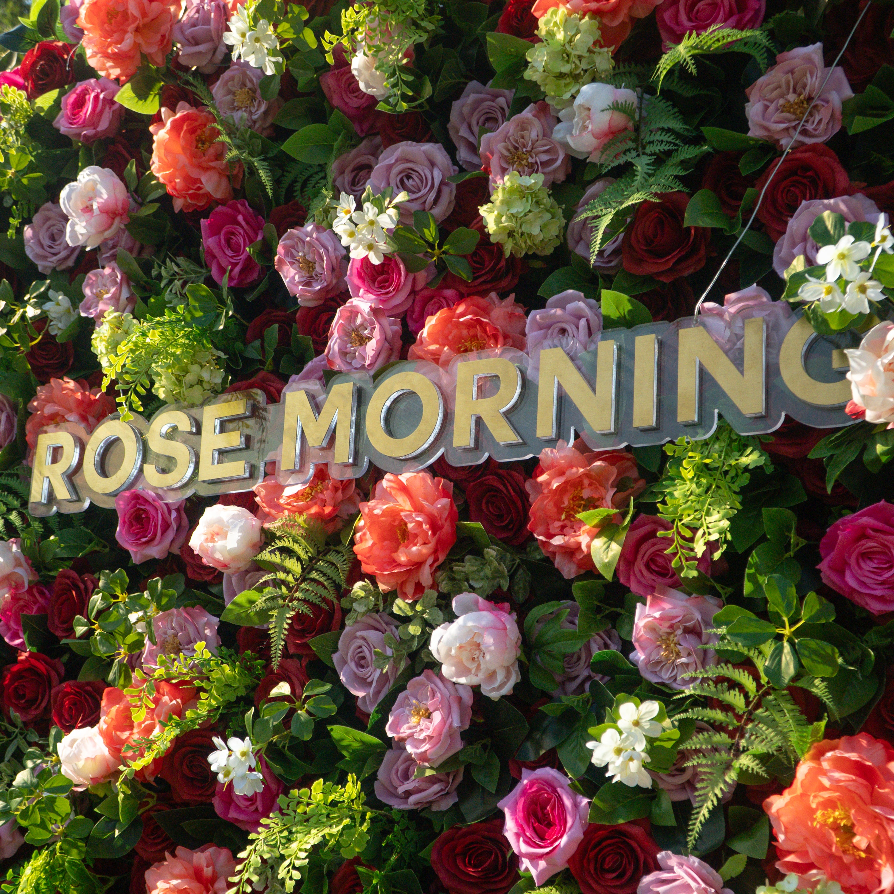 Timeless - Autumn Fall 5D Fabric Roll Up Flower Wall for Wedding Party Event Backdrop