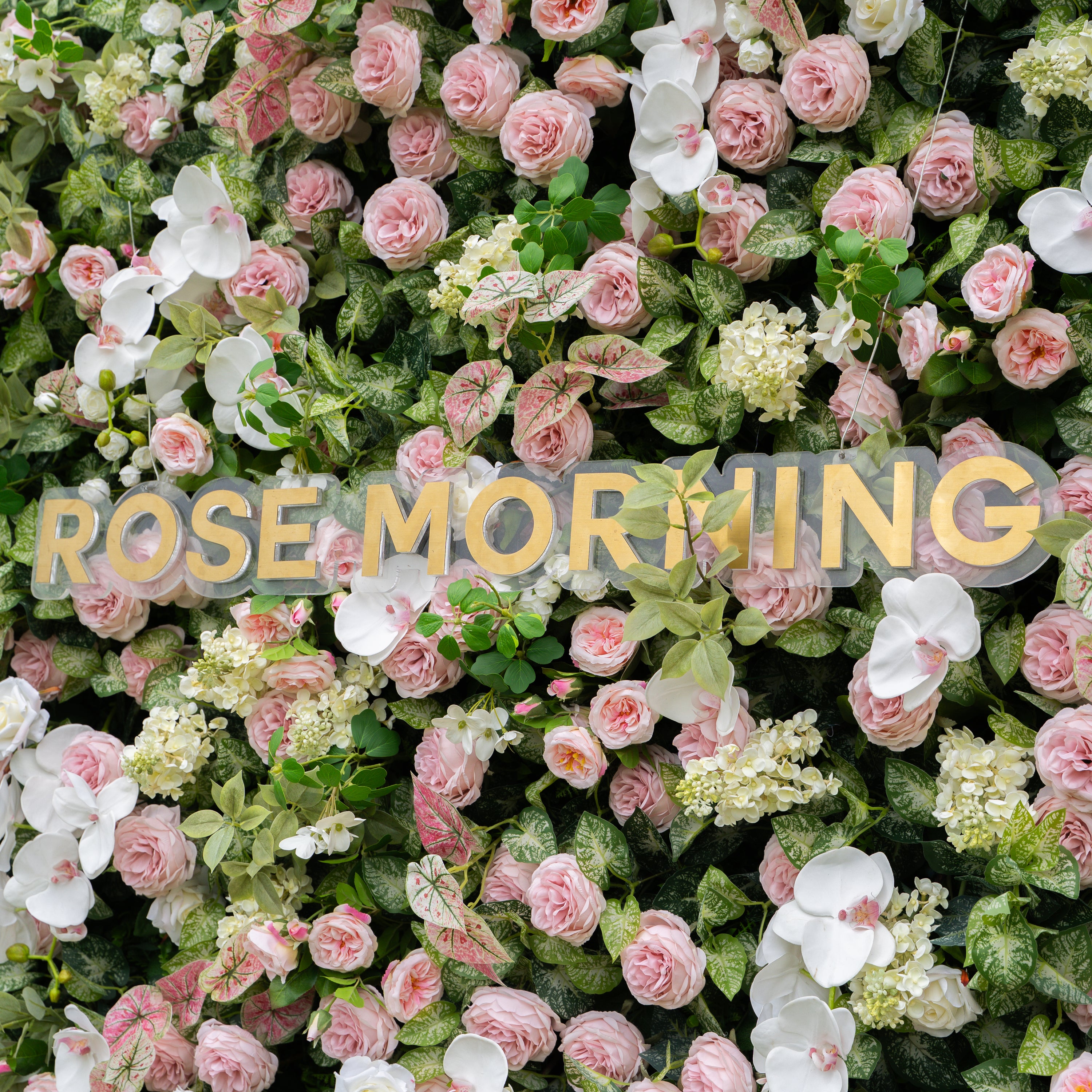 Tori：5D Fabric Artificial rolling up curtain flower wall