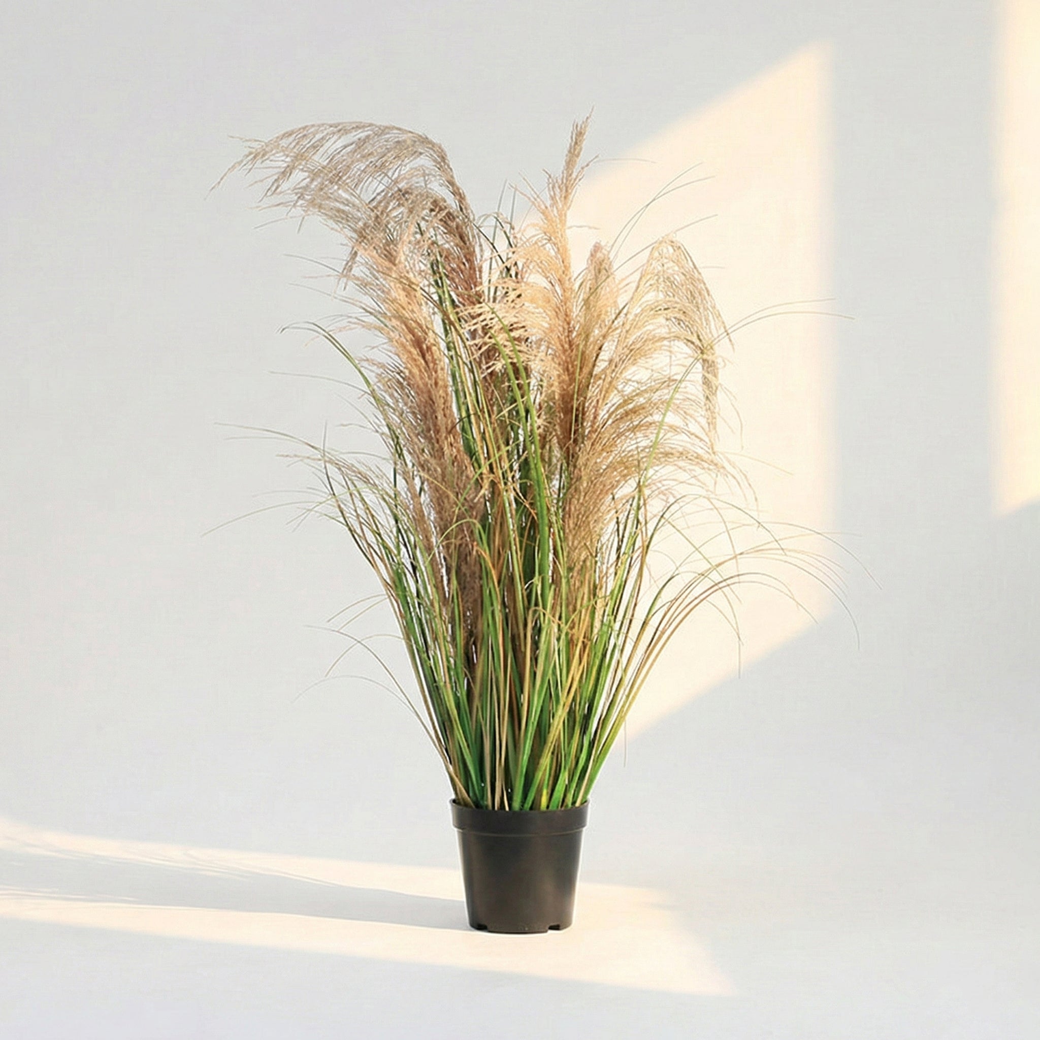 33.5" Natural Reed – Sculptural Botanical Accent for Modern Interiors