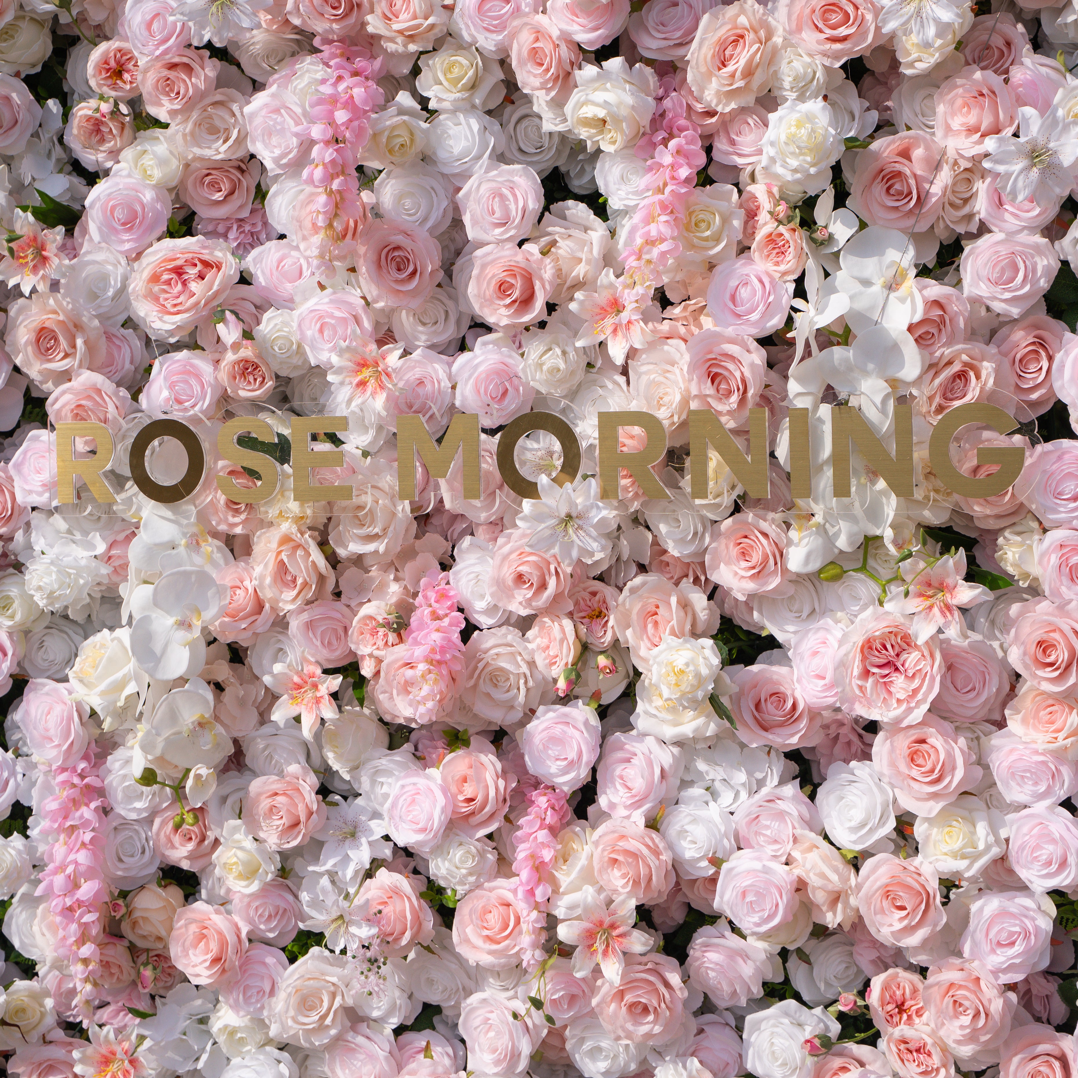 Valerie: 5D White and Pink Silk Rose Flower Wall Roll-Up Fabric Backdrop for Elegant Weddings &amp; Events