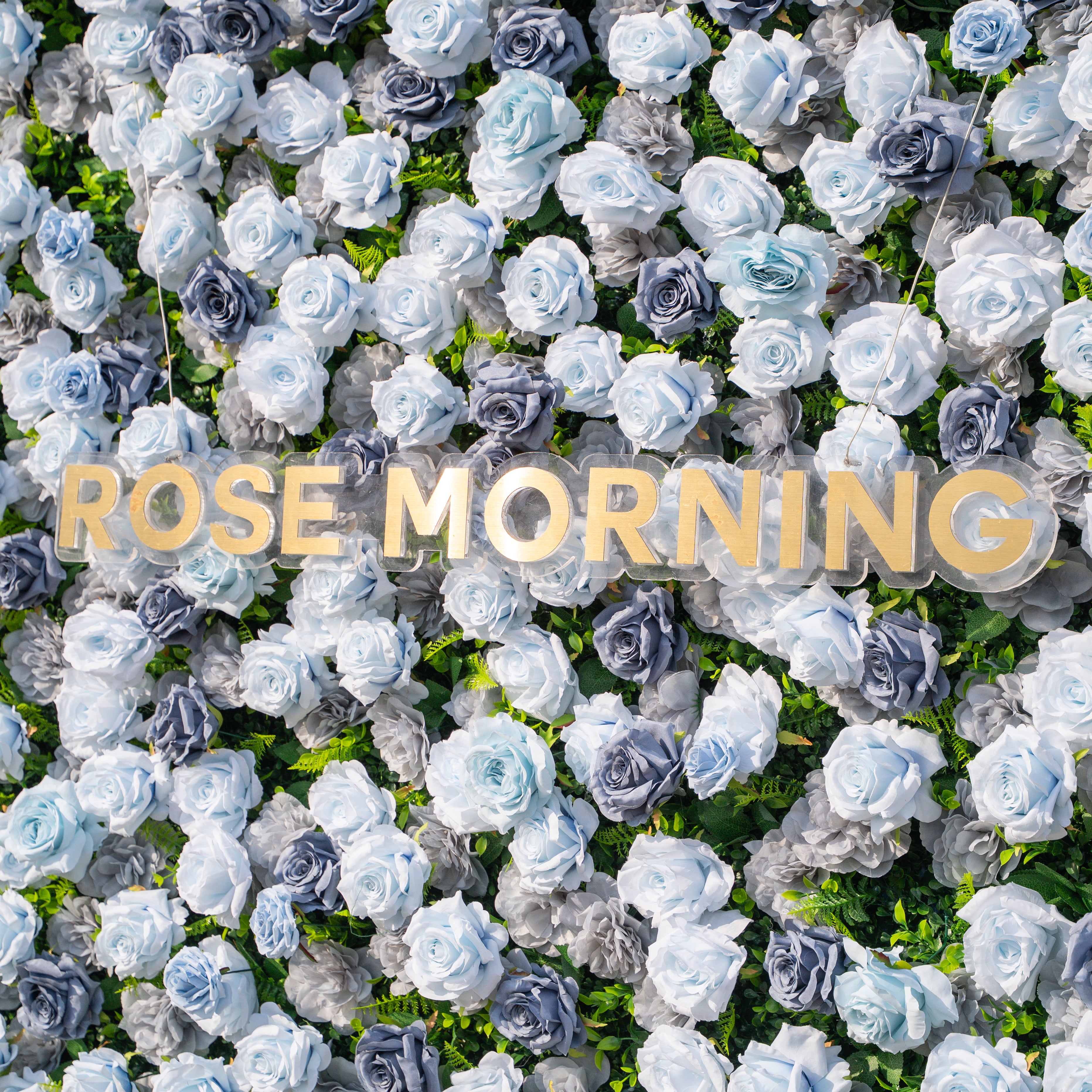 Velora：3D Fabric Artificial rolling up curtain flower wall