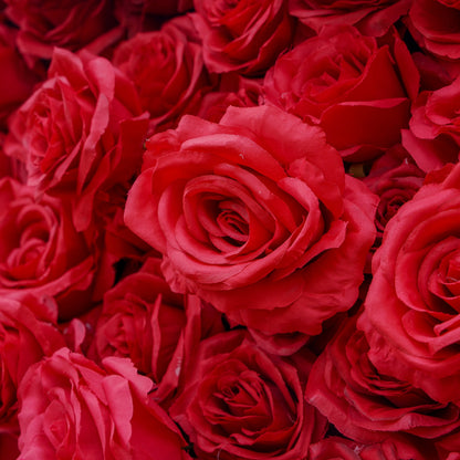 Rose Morning“The flower walls are made of artificial flowers in various colors, layered at different levels to create a lush, elegant and natural look. The exclusive zipper design and roll-up design make it easy to install and remove.”