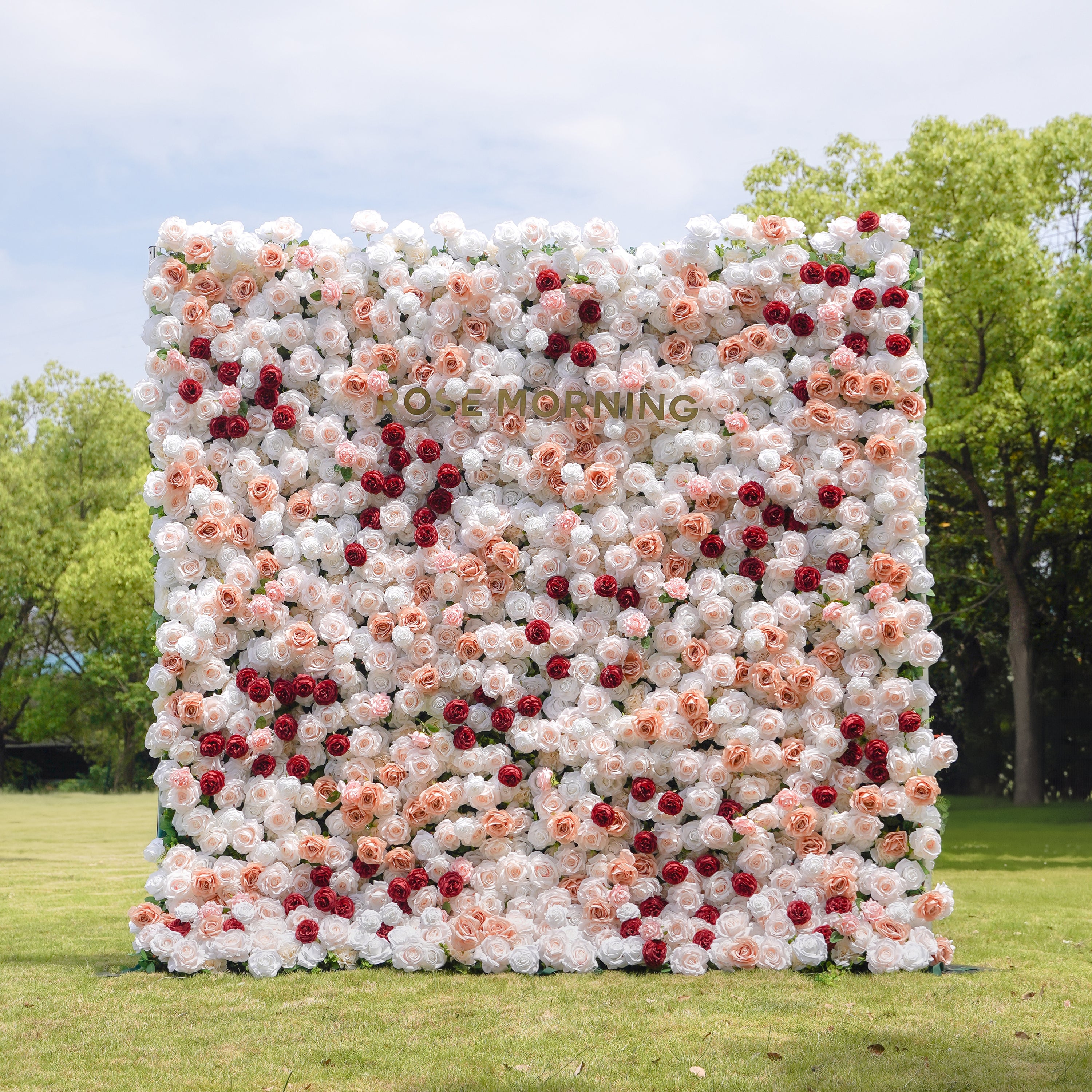 Yvette：5D Fabric Artificial rolling up curtain flower wall Rose Morning
