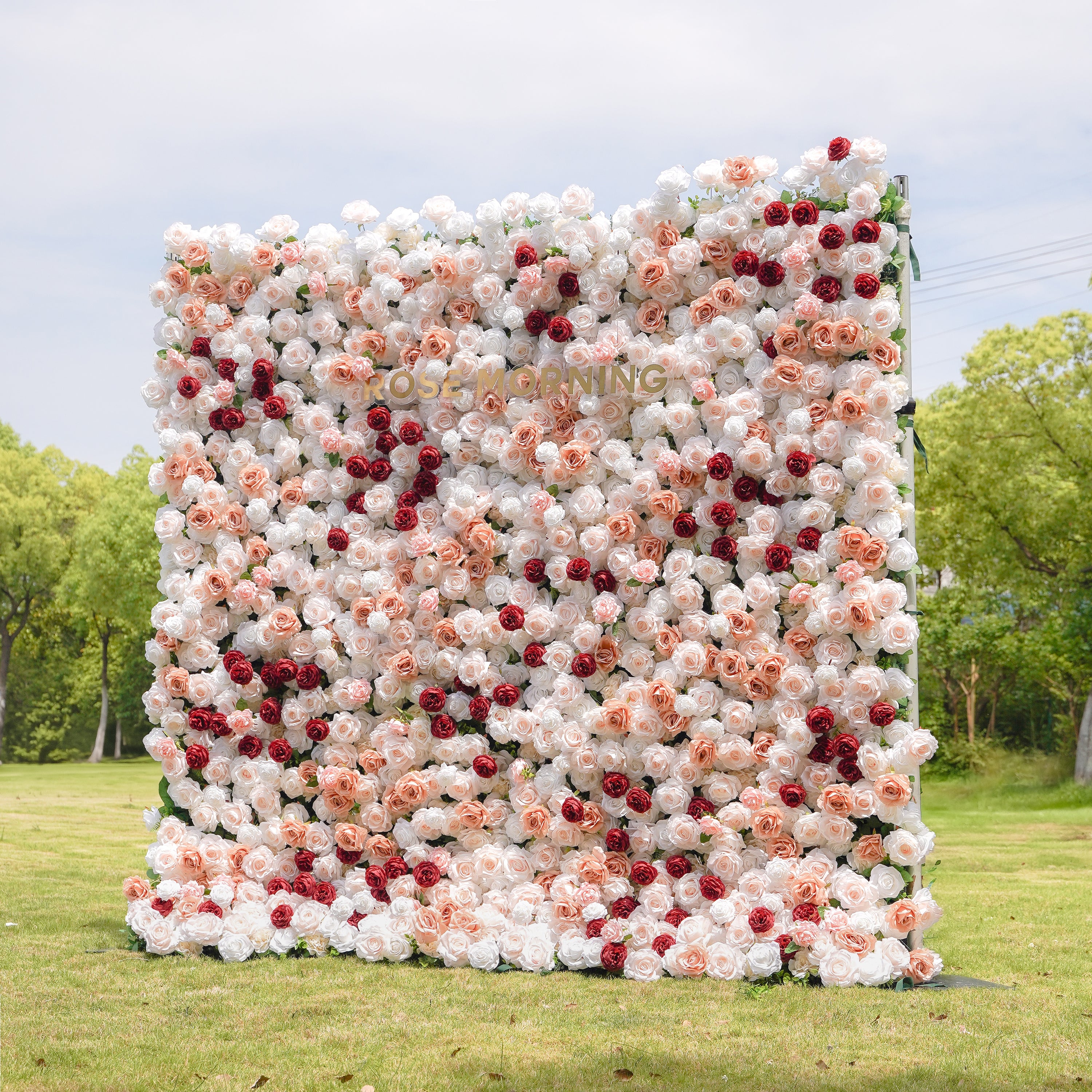 Yvette：5D Fabric Artificial rolling up curtain flower wall Rose Morning