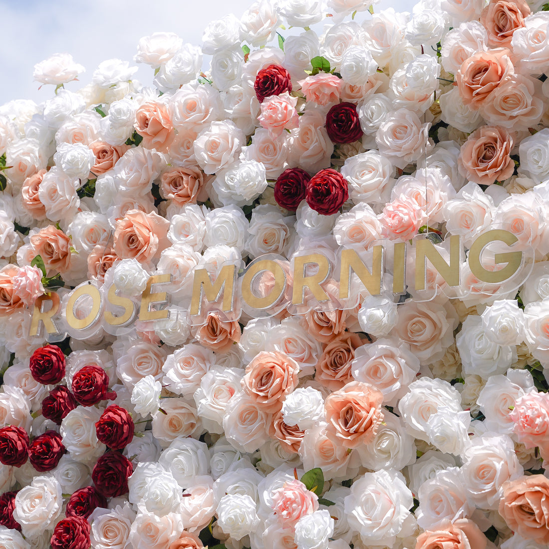 Yvette：5D Fabric Artificial rolling up curtain flower wall Rose Morning