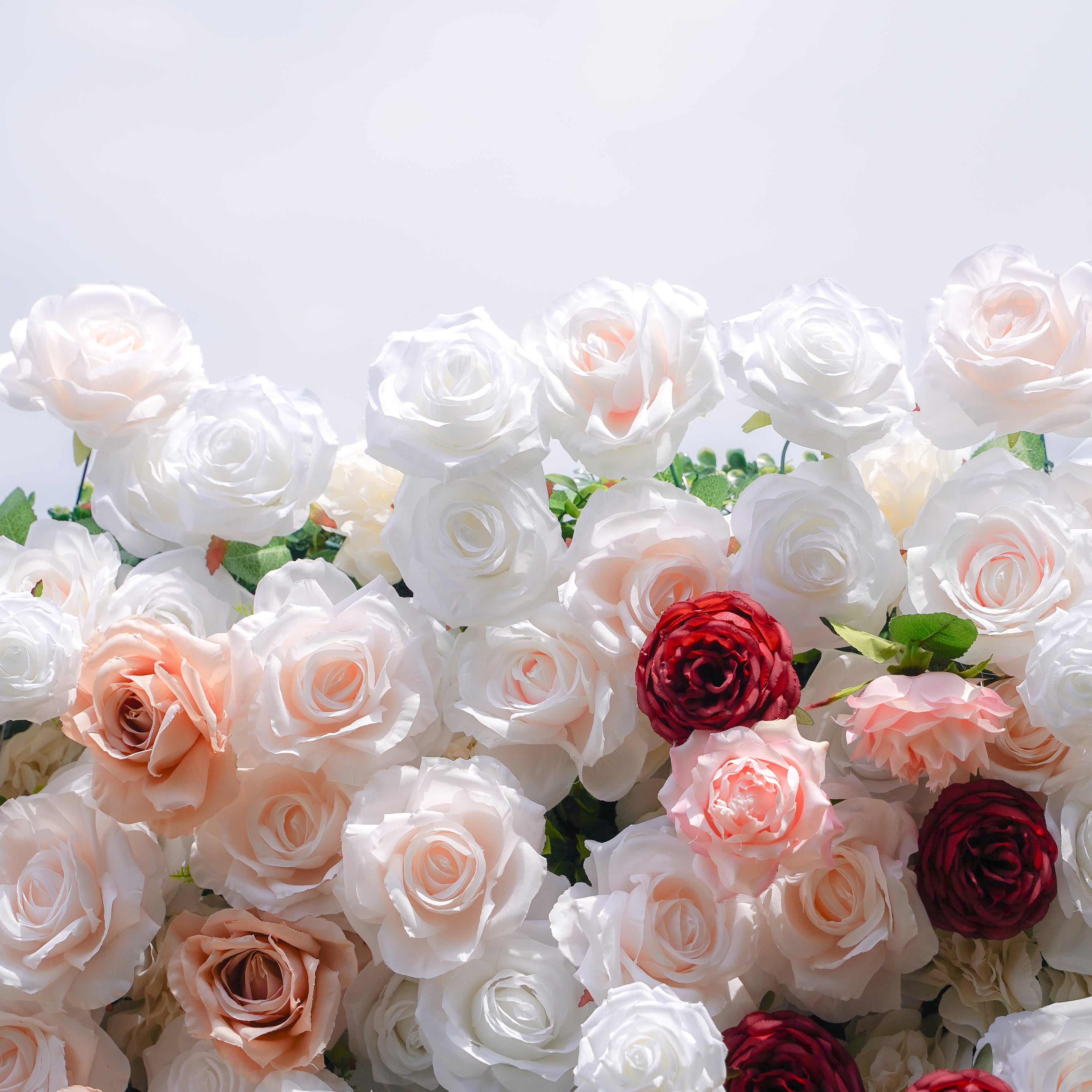 Yvette：5D Fabric Artificial rolling up curtain flower wall Rose Morning