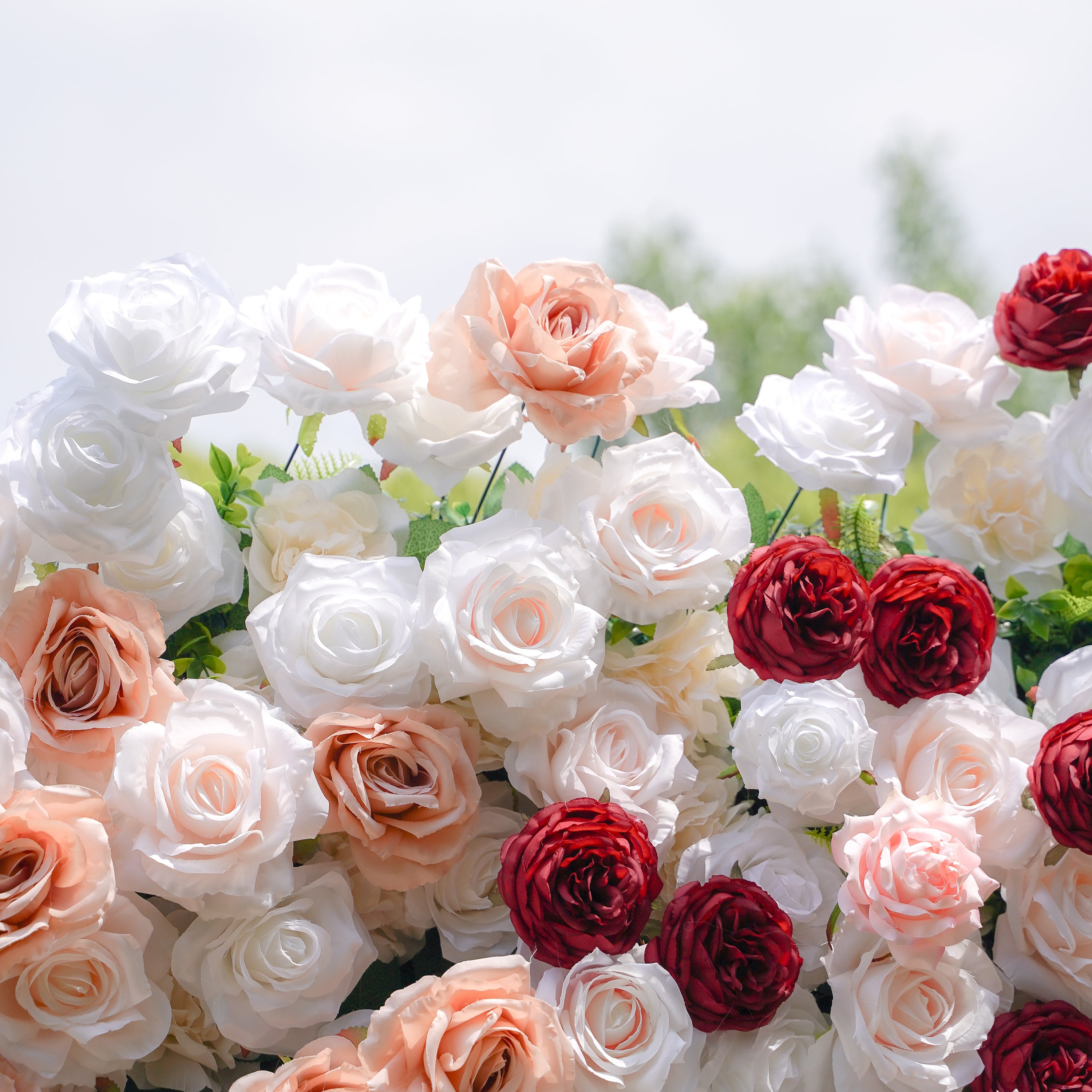Yvette：5D Fabric Artificial rolling up curtain flower wall Rose Morning