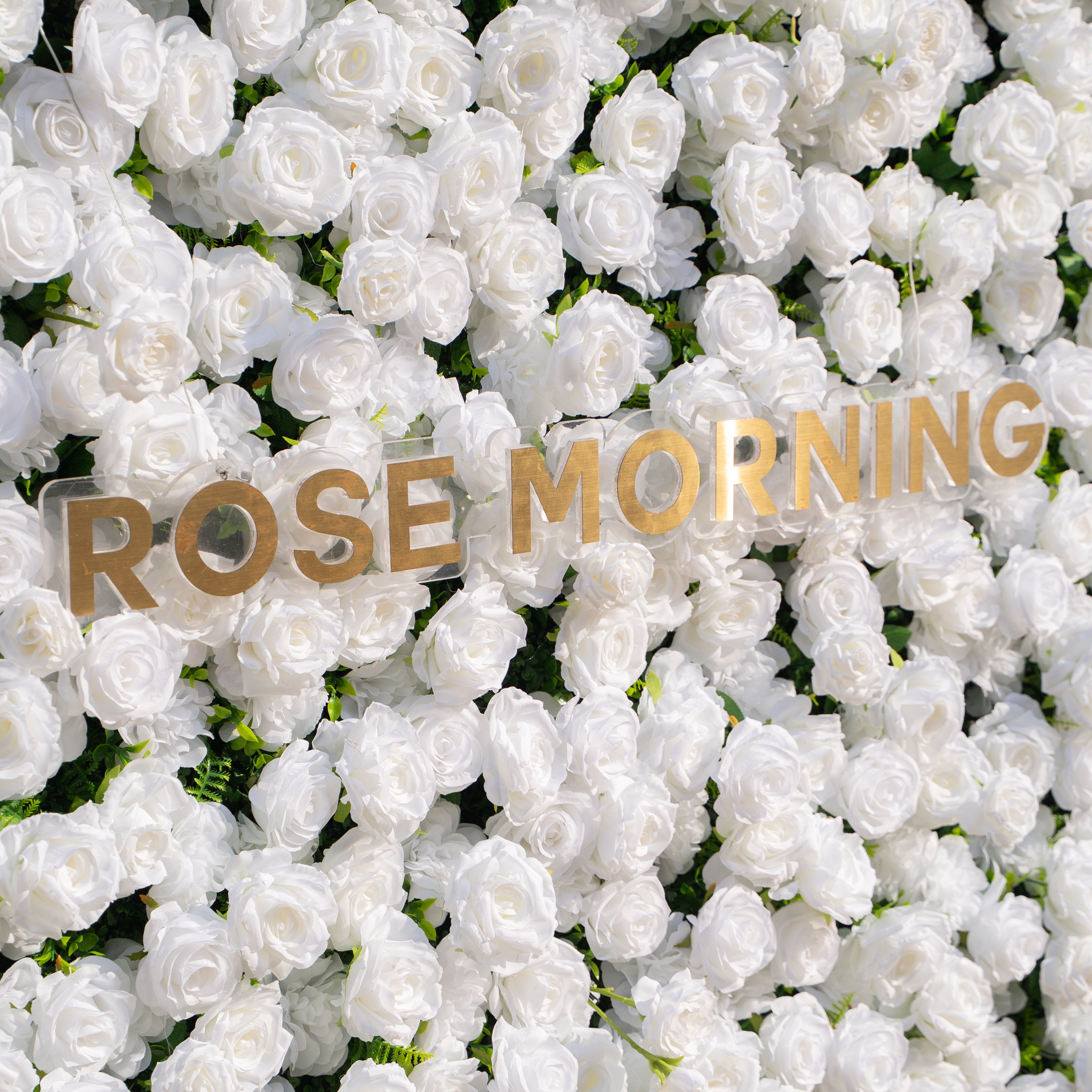 Zephira: 3D Elegant White Silk Rose Flower Wall Roll-Up Fabric Backdrop for Luxury Weddings &amp; Events