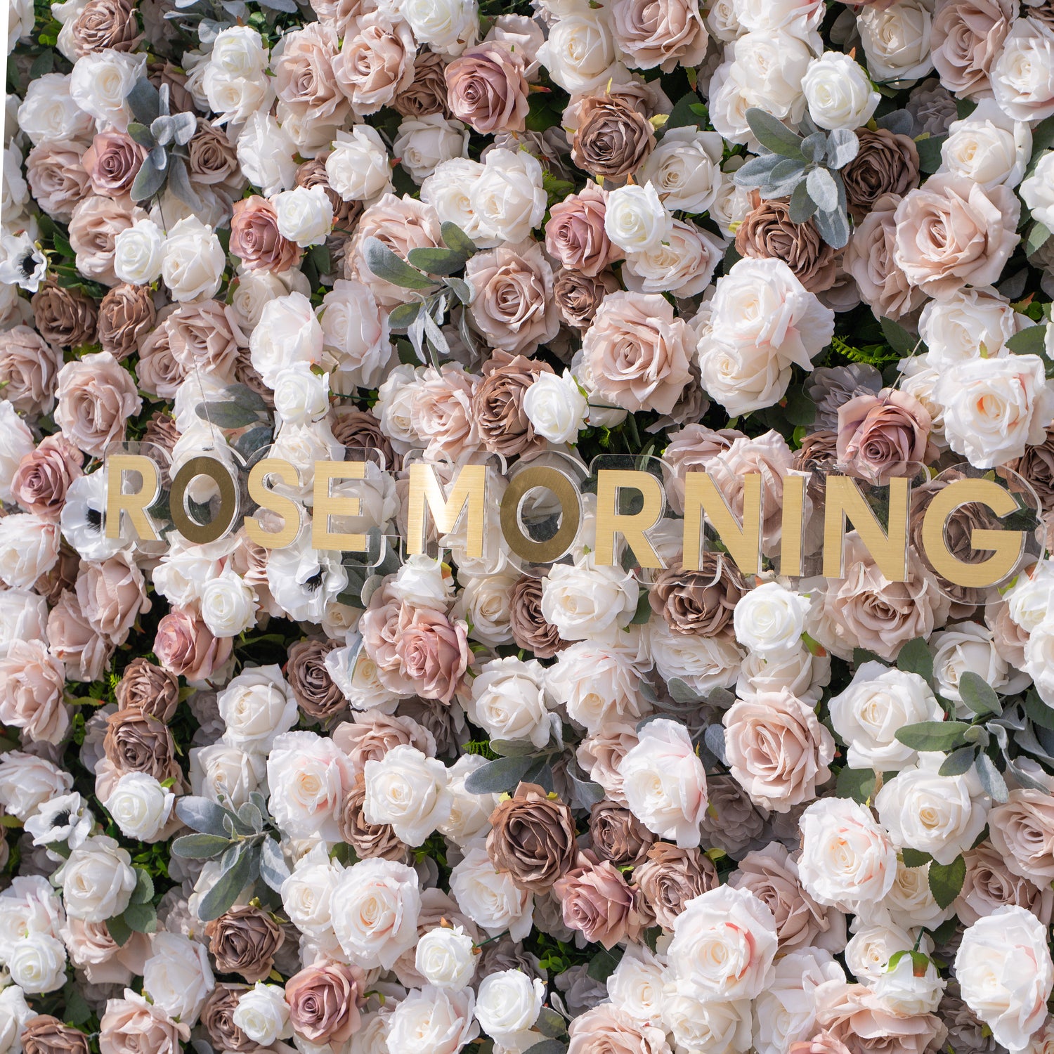 Ziven: 5D Elegant Latte &amp; Ivory Silk Rose Flower Wall Roll-Up Fabric Backdrop for Luxury Wedding &amp; Modern Interior Decor