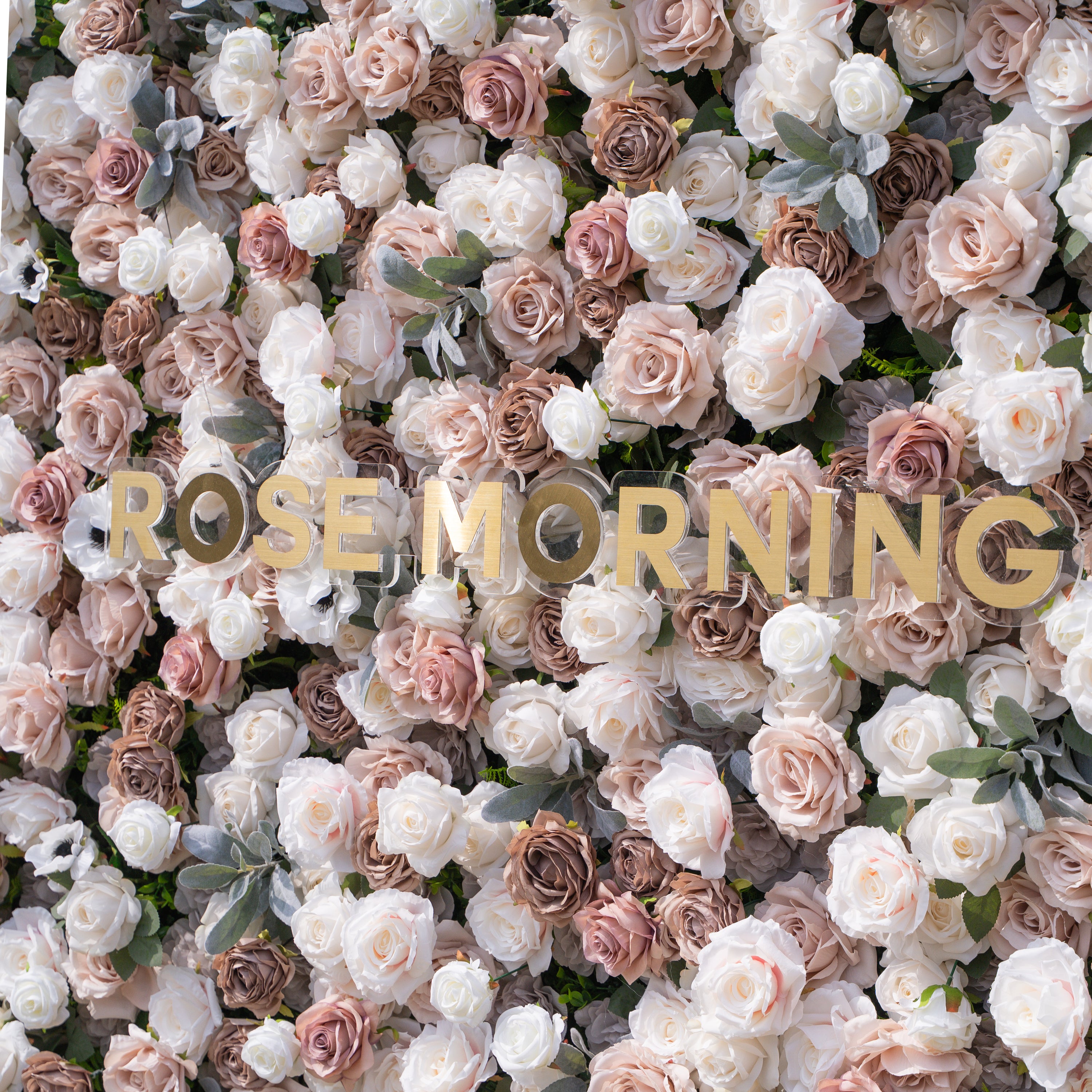 Ziven: 5D Elegant Latte &amp; Ivory Silk Rose Flower Wall Roll-Up Fabric Backdrop for Luxury Wedding &amp; Modern Interior Decor