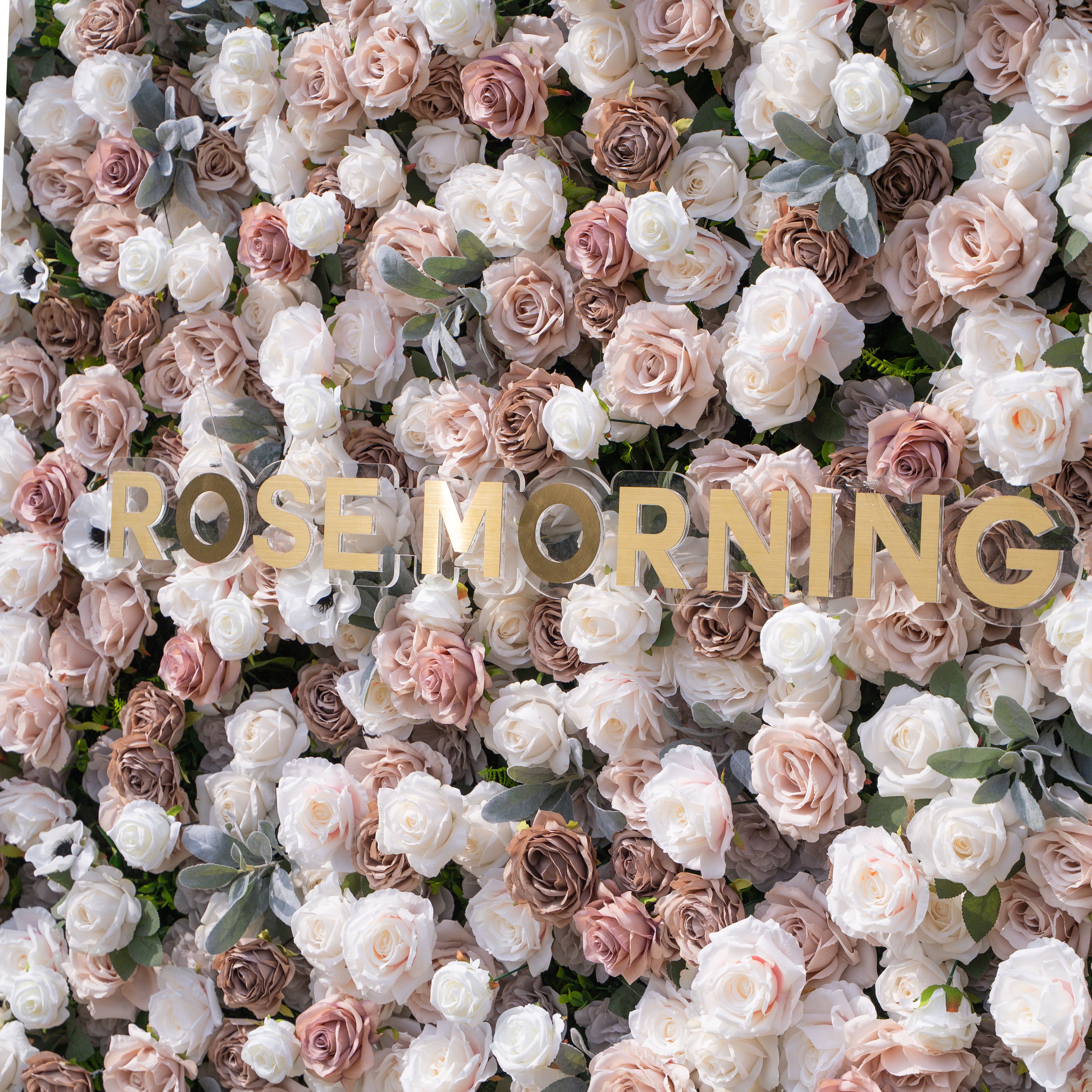 Ziven: 5D Elegant Latte &amp; Ivory Silk Rose Flower Wall Roll-Up Fabric Backdrop for Luxury Wedding &amp; Modern Interior Decor