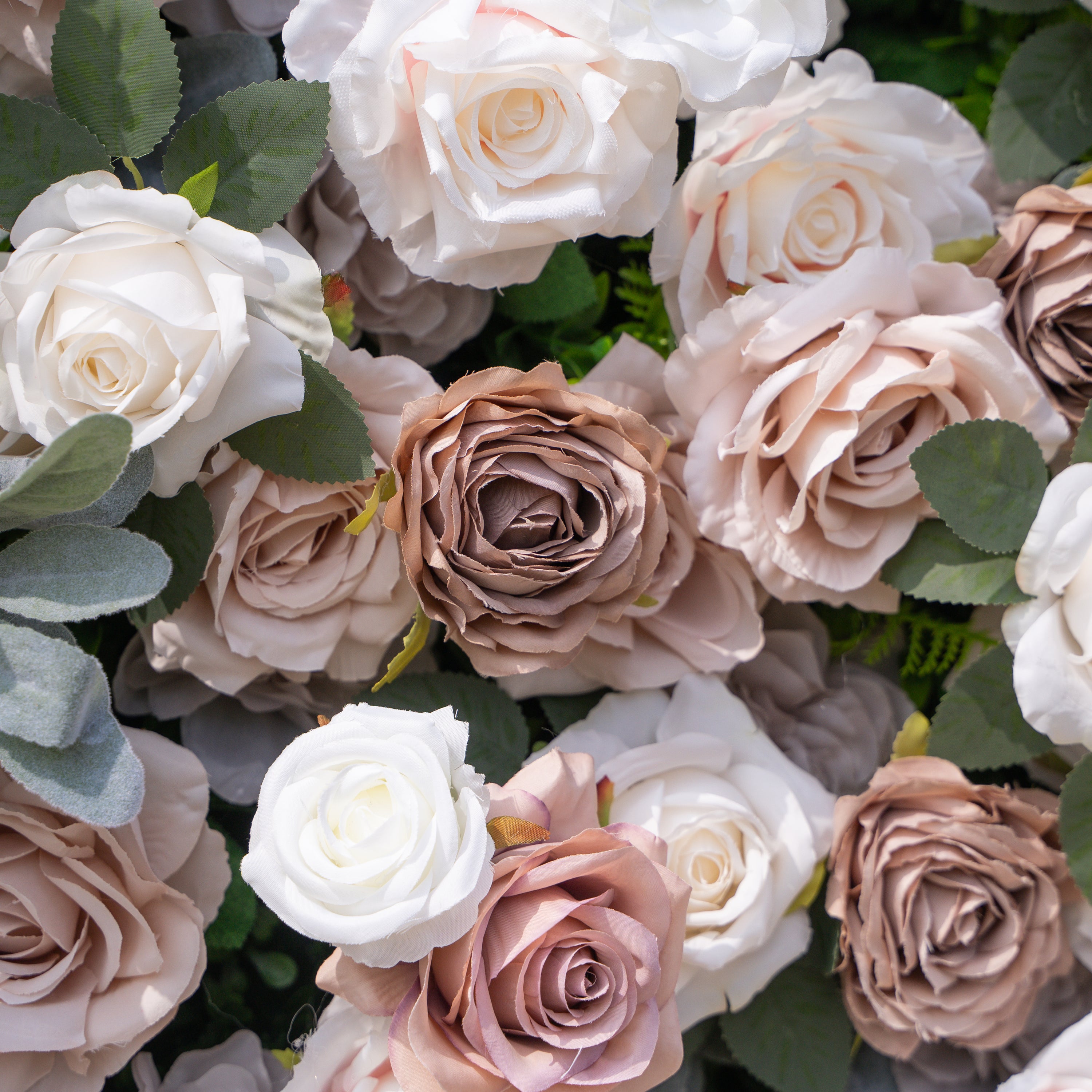 Ziven: 5D Elegant Latte &amp; Ivory Silk Rose Flower Wall Roll-Up Fabric Backdrop for Luxury Wedding &amp; Modern Interior Decor