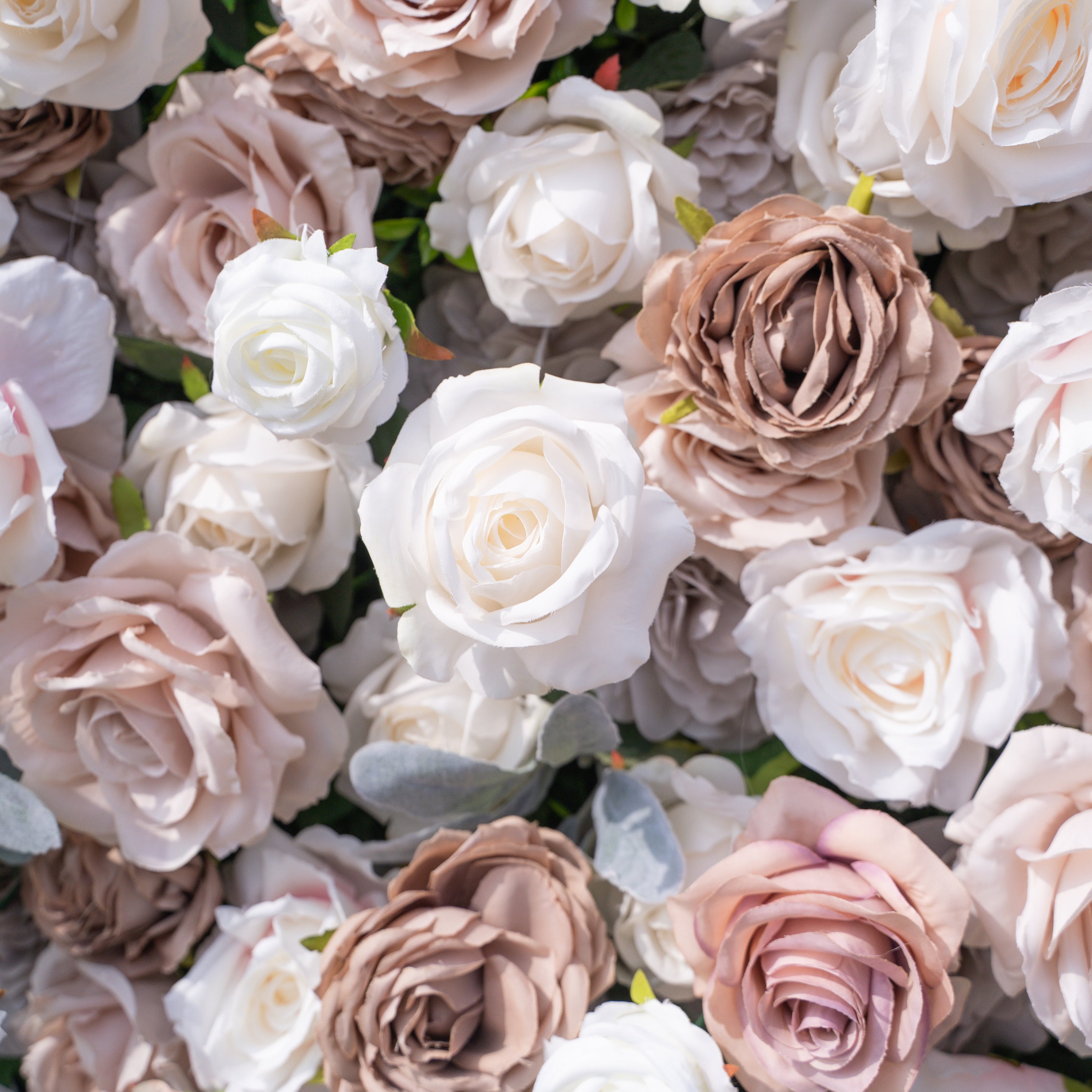 Ziven: 5D Elegant Latte &amp; Ivory Silk Rose Flower Wall Roll-Up Fabric Backdrop for Luxury Wedding &amp; Modern Interior Decor