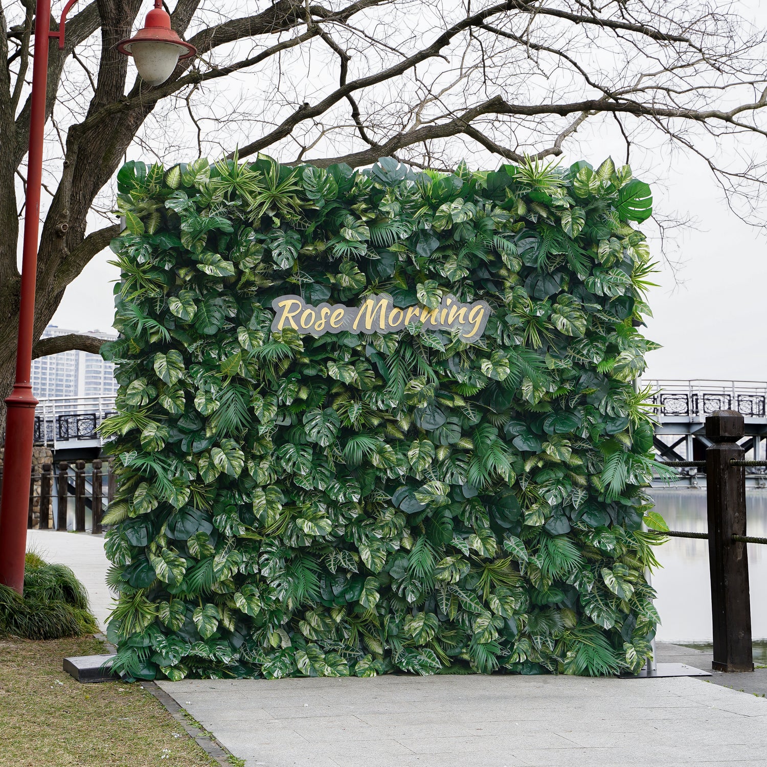 Meet: 5D 2023 Fabric Artificial Green Wall Rolling Up Curtain Green Wall R800 - 8ft*8ft Rose Morning