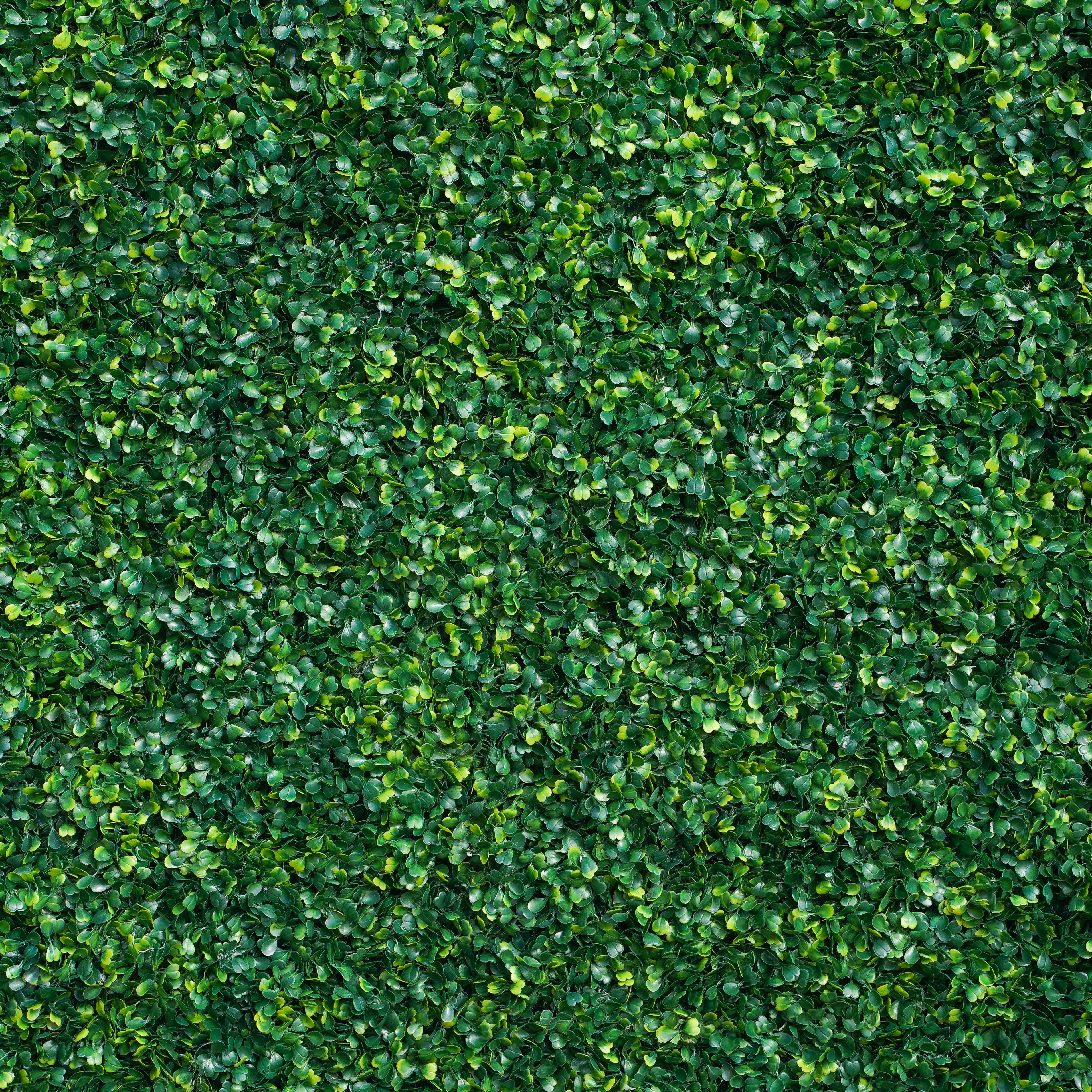 Milan:  2D Fabric Artificial  Green Wall Rolling Up Curtain Green Wall R148 - 8ft*8ft Rose Morning